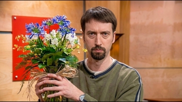 Tom Green on The Dini Petty Show